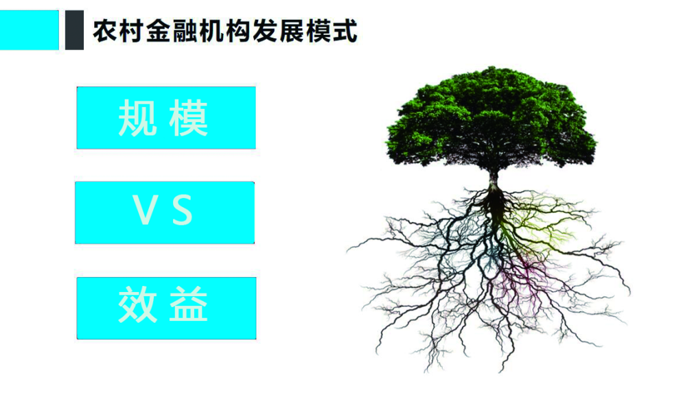 下载 (1).png